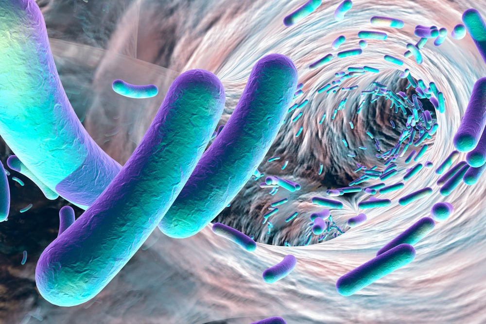 closeup view. Image can be used for any rod-shaped bacteria